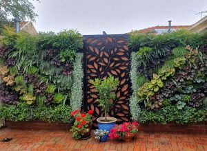 DECORATIVE SCREEN MELBOURNE